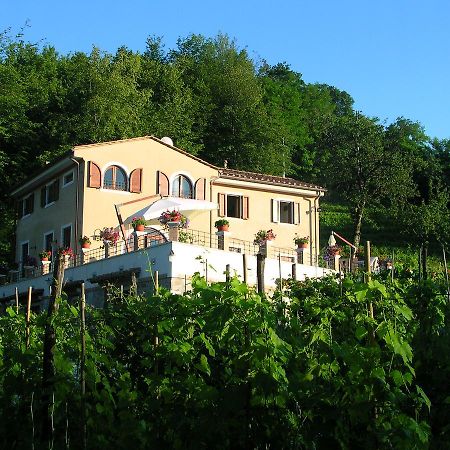 Galleria Ars Apua Bed & Breakfast Carrara Luaran gambar